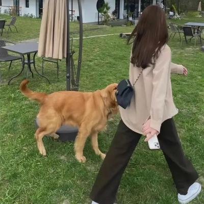 妙妙探粤语
