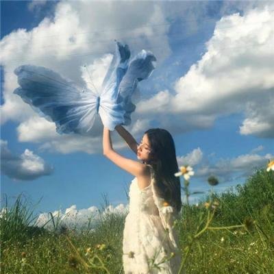 陶宝萍的幸福生活
